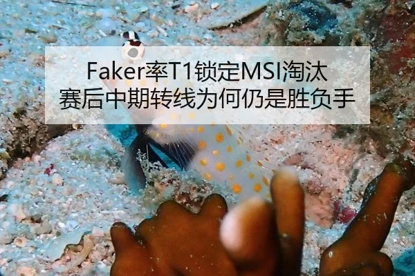 Faker率T1锁定MSI淘汰赛后中期转线为何仍是胜负手